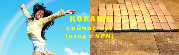 молекула духа Алапаевск