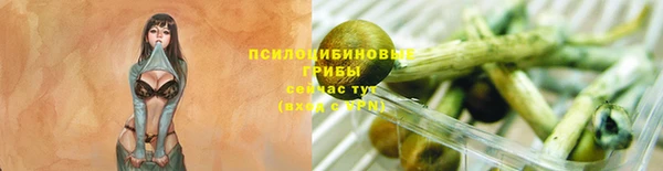 герыч Алагир
