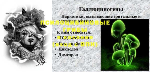 молекула духа Алапаевск