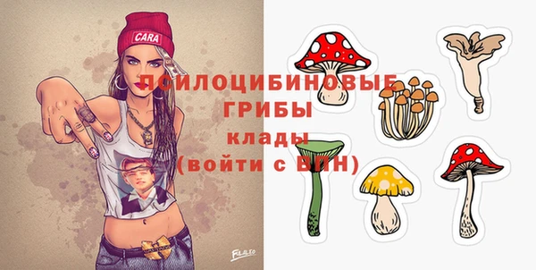 2c-b Аксай