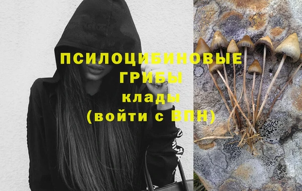 ECSTASY Ачинск